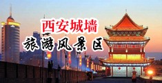 黑人大鸡巴插入女人下体视频中国陕西-西安城墙旅游风景区